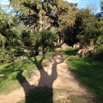 Park below Lillypond